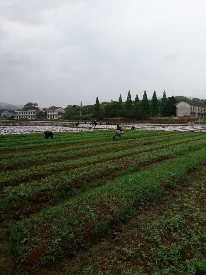 基地拍摄